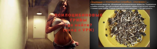 синтетический гашиш Алексин