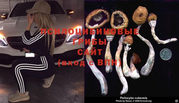 шишки Абдулино