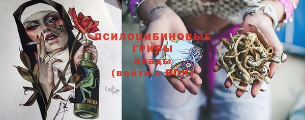 дурь Алексеевка