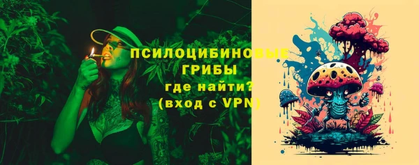 молекула духа Алзамай