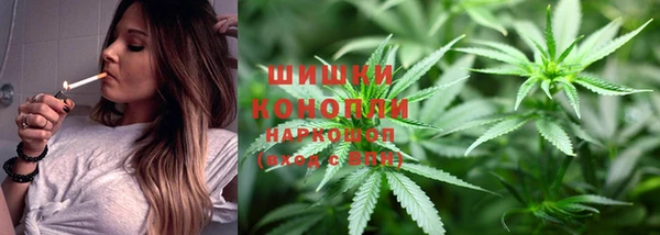 гидра Абаза
