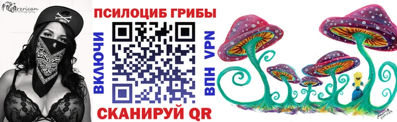 купить  цена  Усть-Кут  Галлюциногенные грибы GOLDEN TEACHER 